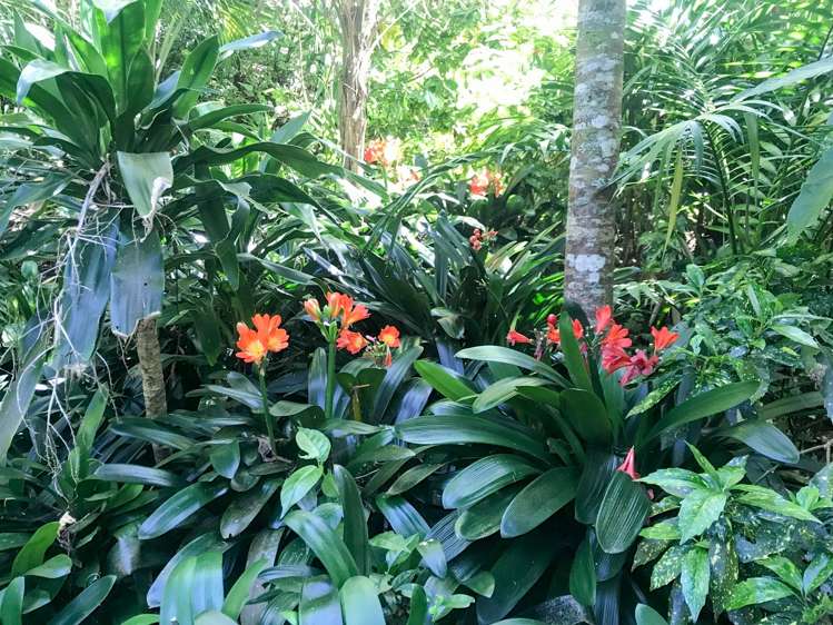 111 Old Reservoir Road Karangahake_21