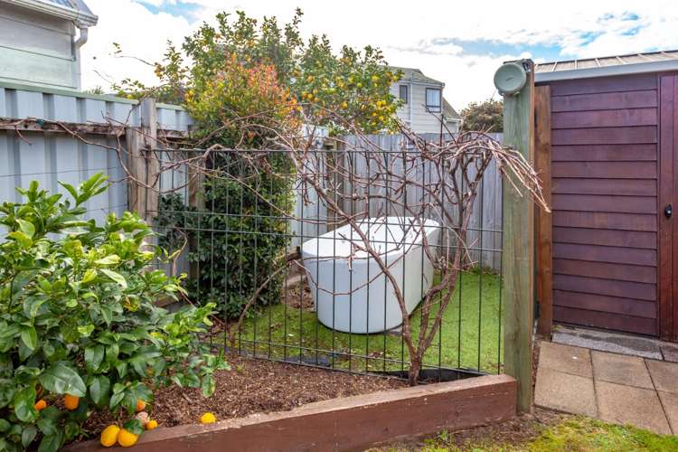 102b Sharyn Place Whangamata_6