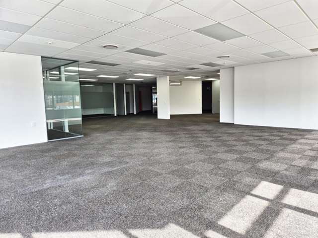 15 Walter Street Te Aro_1