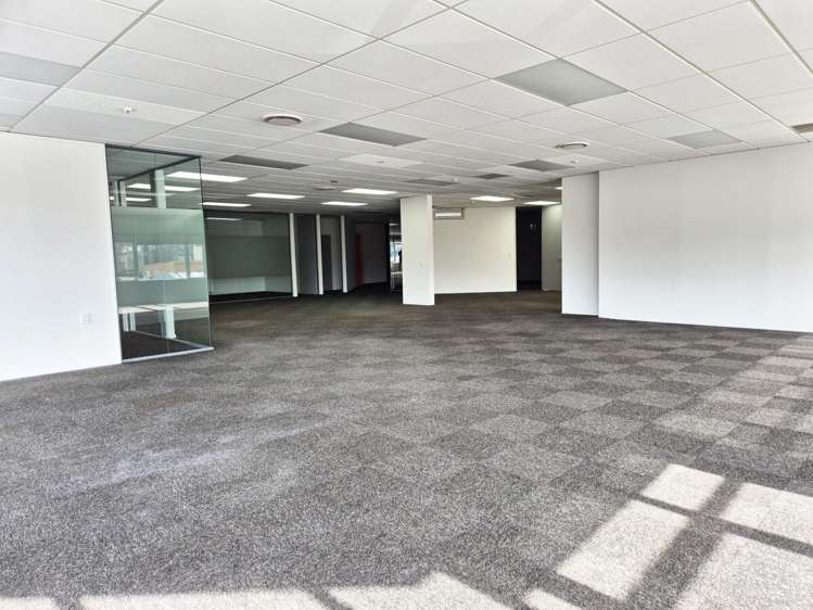 15 Walter Street Te Aro_1