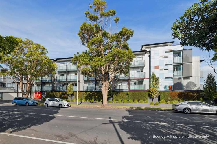 2/80H Richmond Road Grey Lynn_10