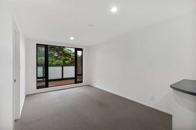 4g/250 Richmond Road Grey Lynn_3