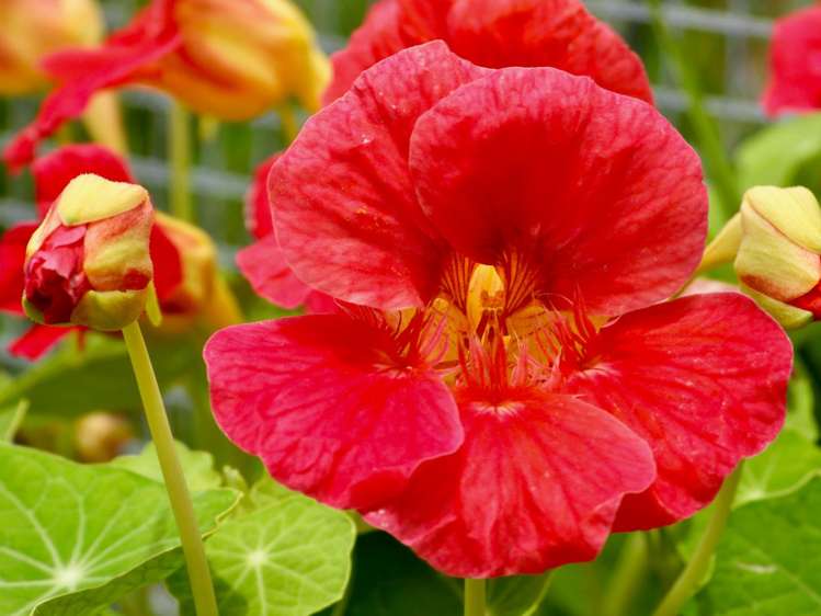 62 Kaitoke Lane Great Barrier Island_10