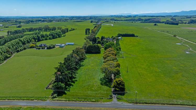 323 Reid Line East Colyton_52