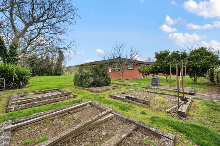 220 Racecourse Road Te Awamutu_17