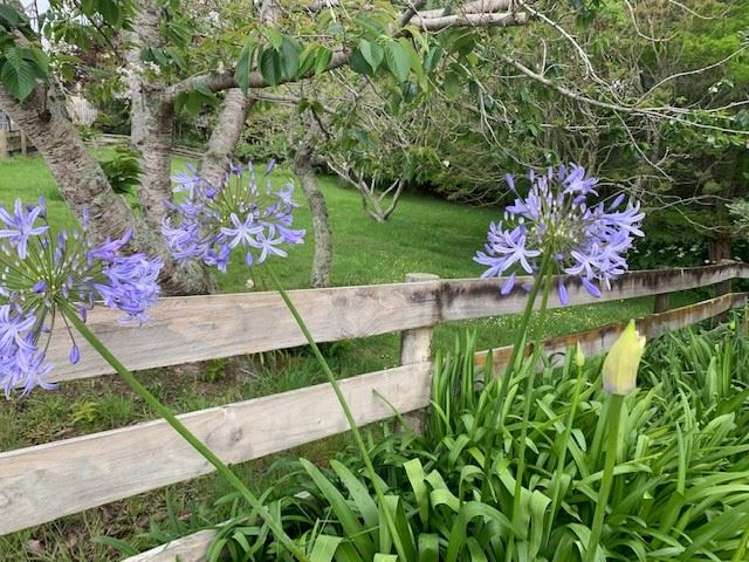 159 Whangaparaoa Road Red Beach_18