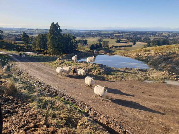 759 Bay Road Oxford_27