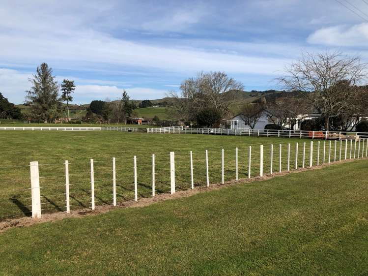 100 Baffin Street Pirongia_10