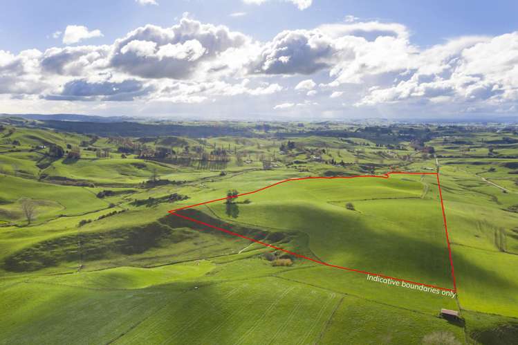 Piakonui Road Richmond Downs_18