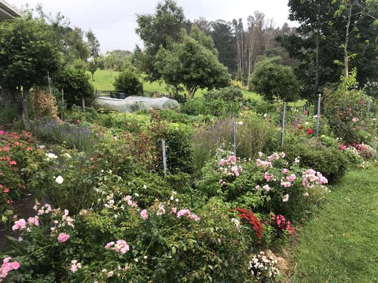 54 Tiraumea Road Pahiatua_17