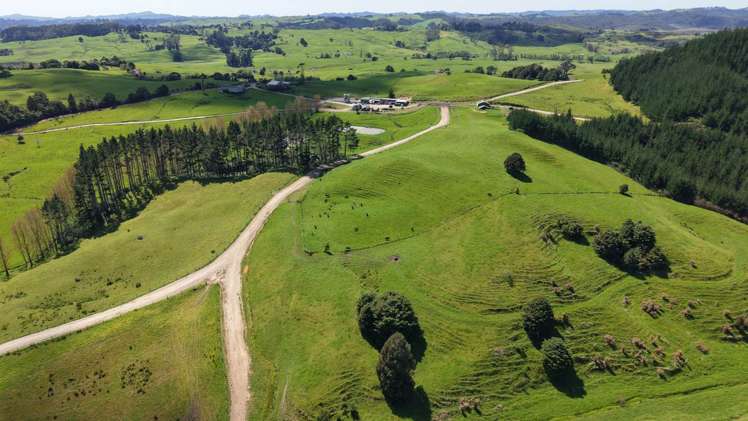 337 Mill Road Kawakawa_19