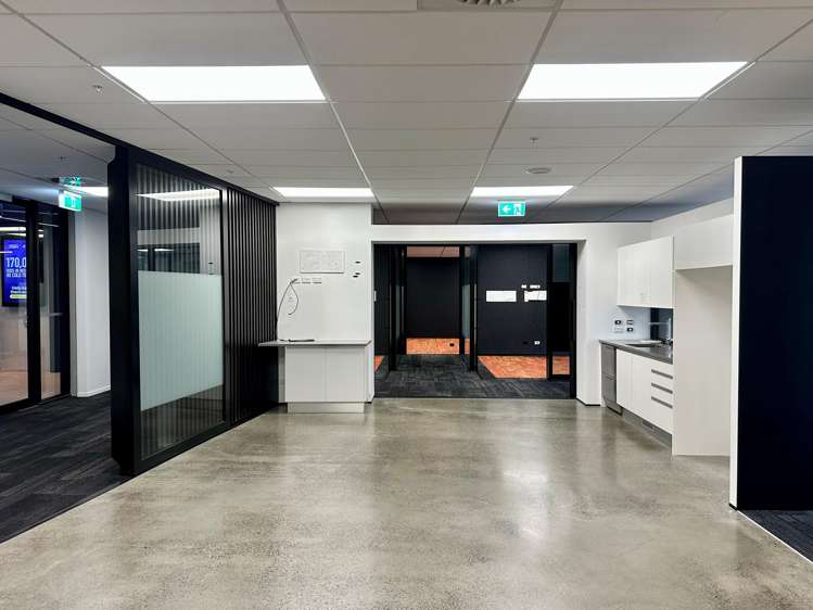 96 St Georges Bay Road Parnell_10