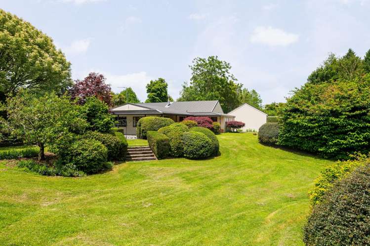 803D Bruntwood Road Tamahere_20