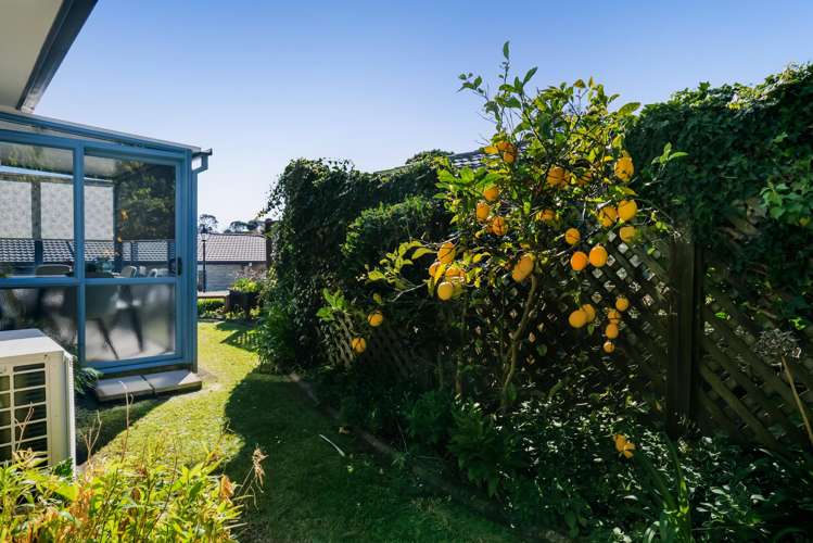 5/32 Mill Road Lower Vogeltown_19