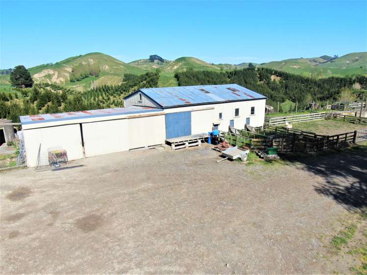 338 Te Awa Road Hawkes Bay_12