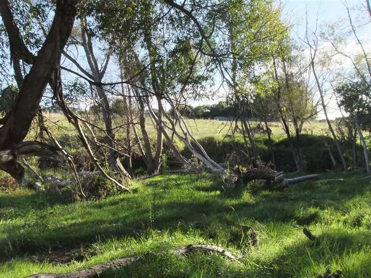 41 Grand Street Shannon_5