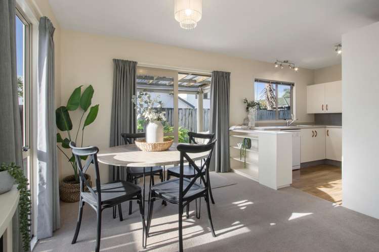 11b Gray Street Katikati_9