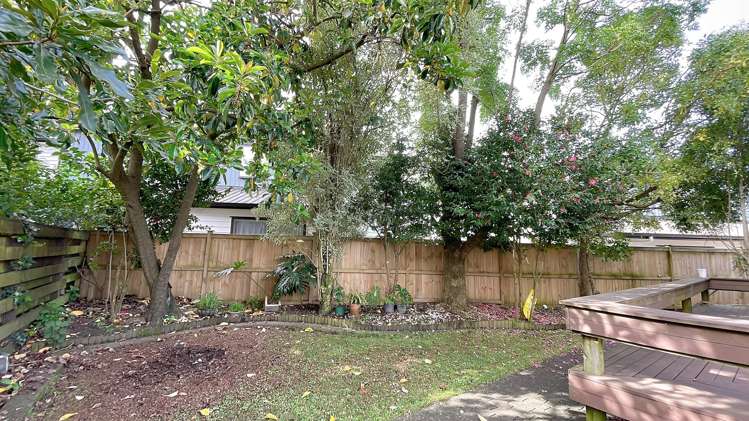 9 Pinehurst Place Wattle Downs_13