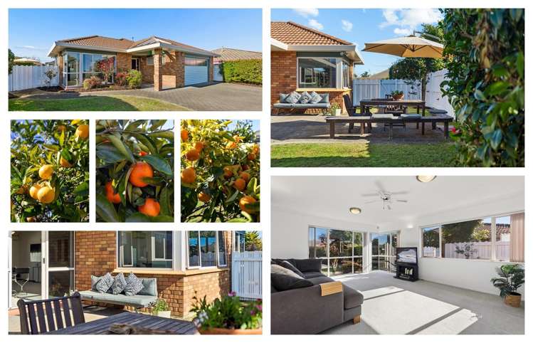 23 Lotus Avenue Mt Maunganui_22