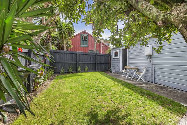 29 Donald Mclean Street Newtown_1