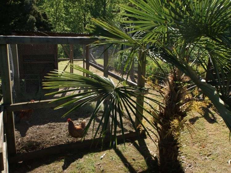 1030 State Highway 4 Manunui_14