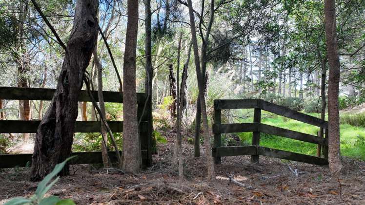 348 Kaimaumau Road Waiharara_24