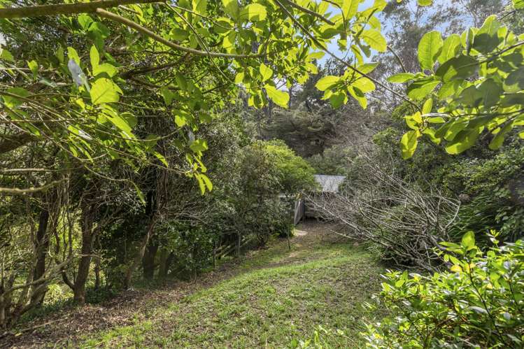 11 Hanover Street Wadestown_6