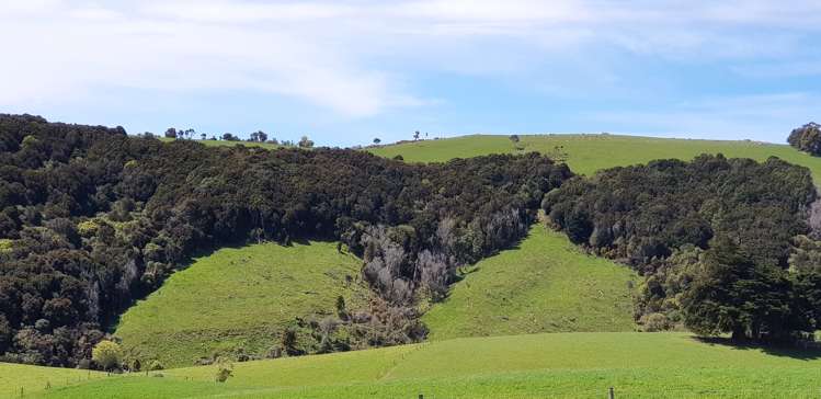 1726 Owaka Highway Kaka Point_10