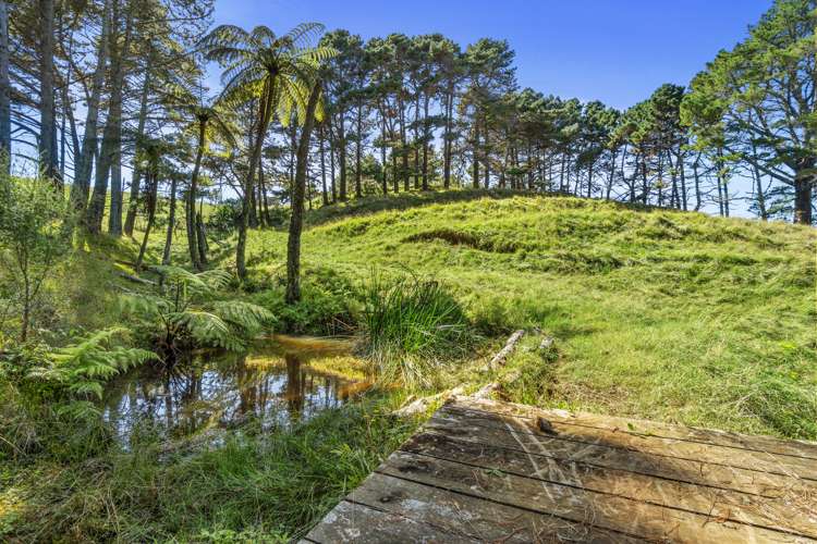 397 Ruapuke Road Raglan_24