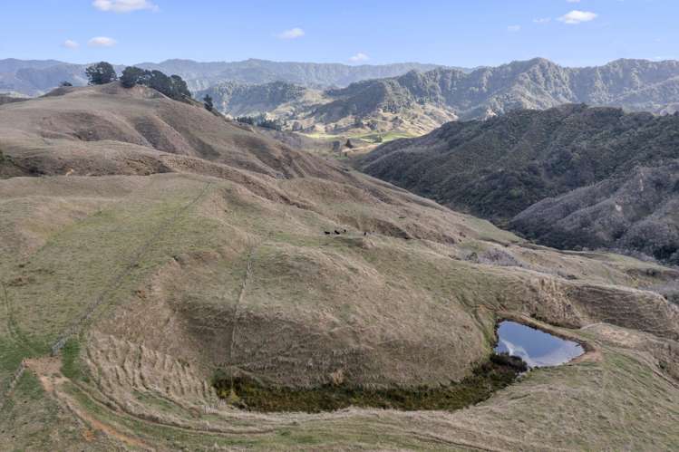 23 Hapurua Road Ohura_17