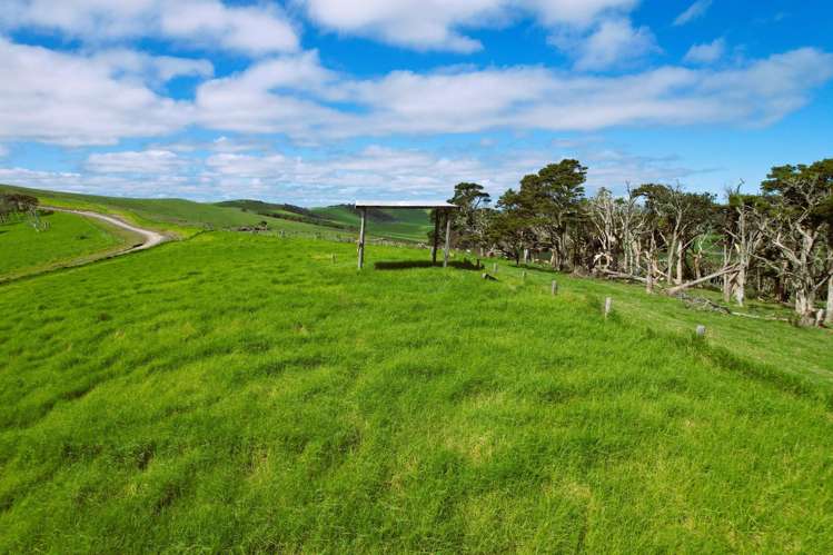 Rehia Road Ruawai_11