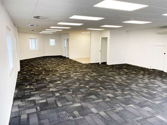 25 Minnie Street Eden Terrace_3