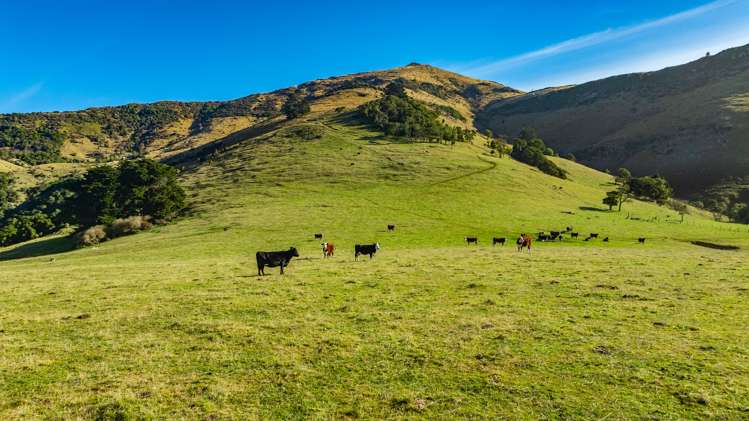 5162 Christchurch Akaroa Road French Farm_23