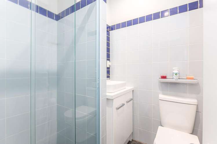 6 Kilmister Avenue Thorndon_12