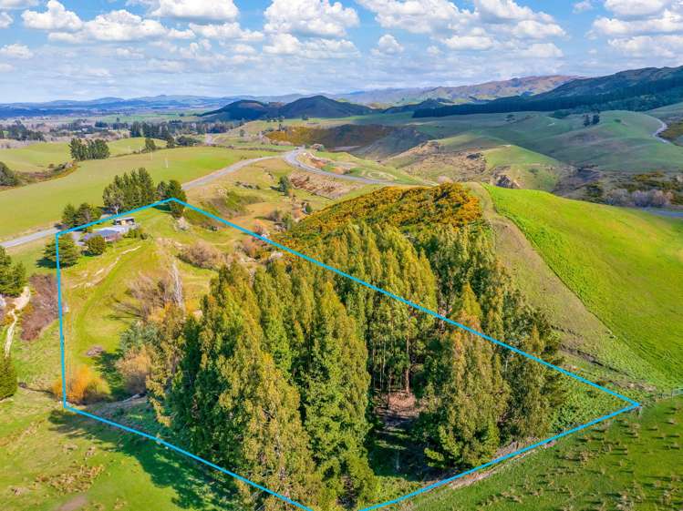 59 Hawkswood Road Cheviot_33