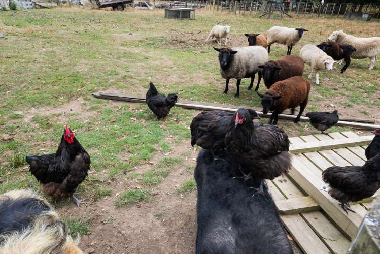 42 Flux Road Mangaroa_20