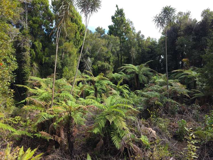 Ballarat Rise Awatuna_2