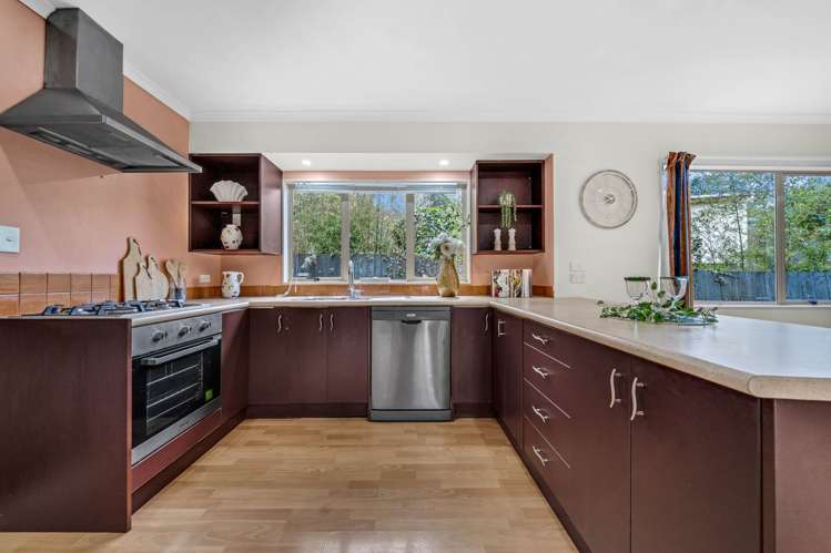 61B Tiverton Road Avondale_3