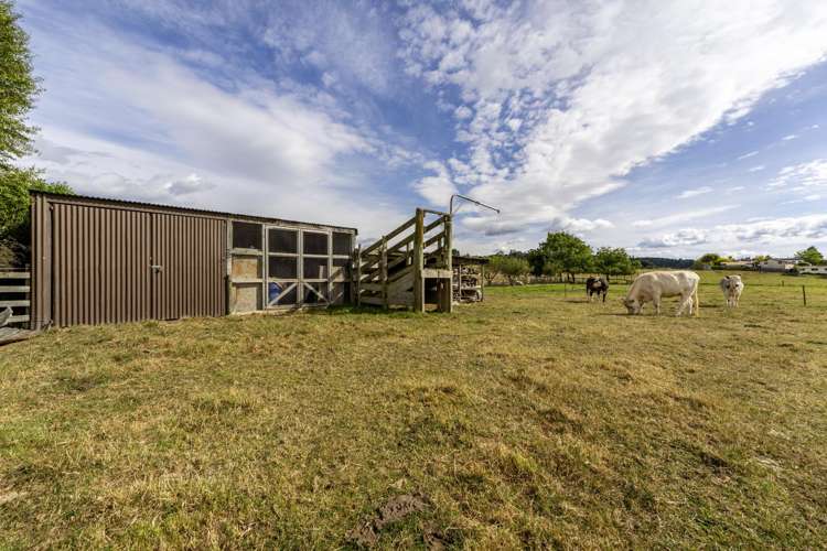 120 Cox Street Geraldine_31