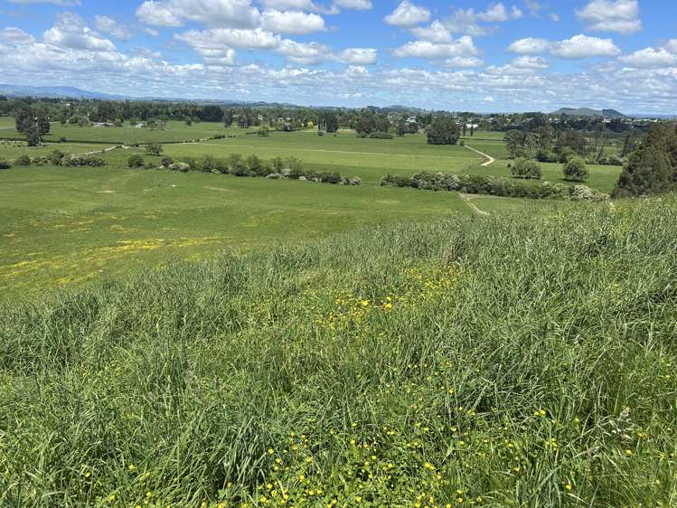 54 Puahue Road Te Awamutu_20