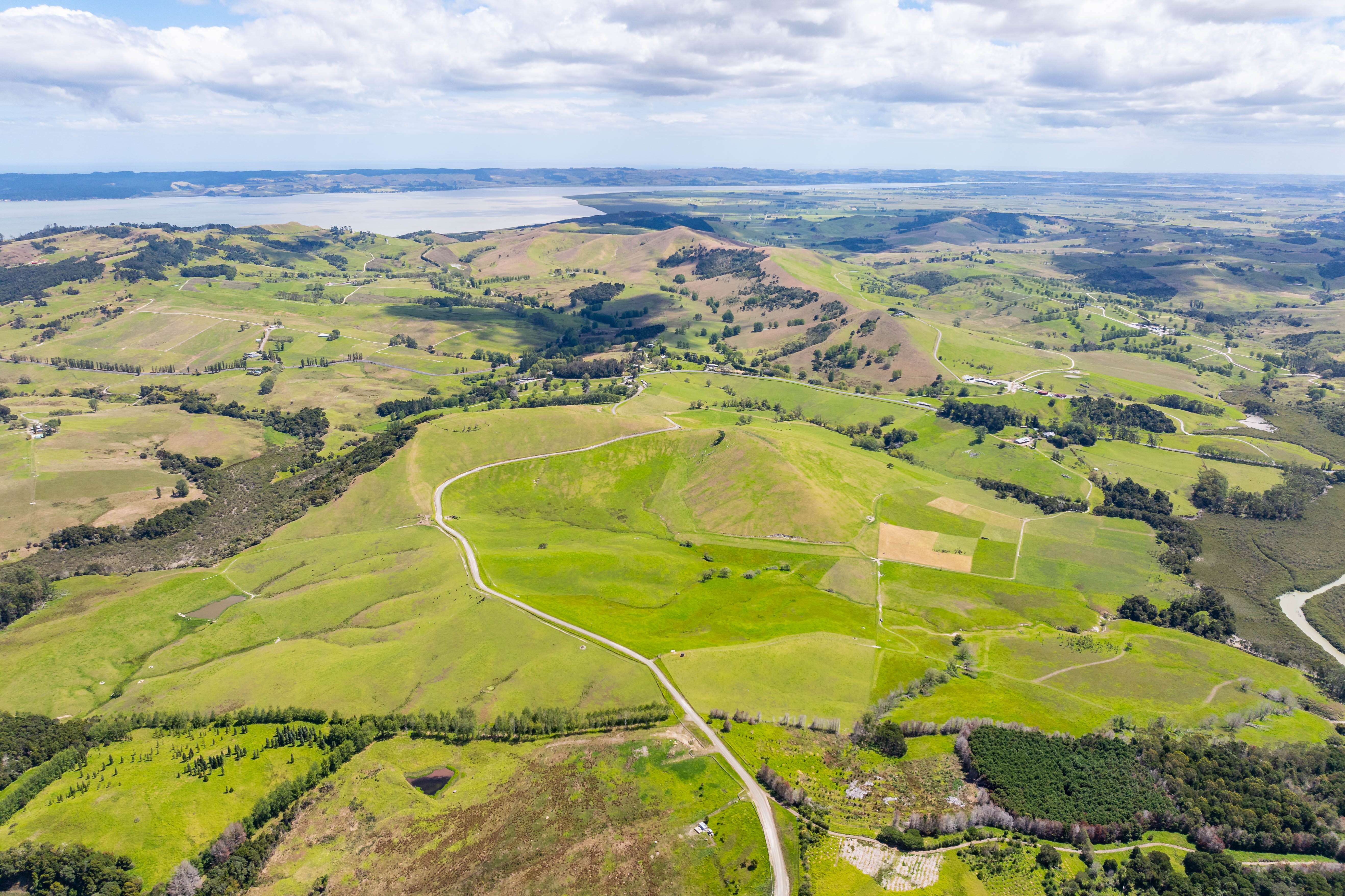 205 Tinopai Road Matakohe Kaipara Rural Property For Sale One Roof