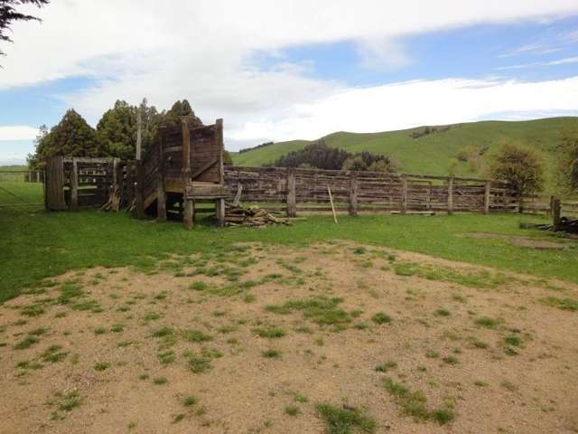 509 Mangaramarama Road Pahiatua_3