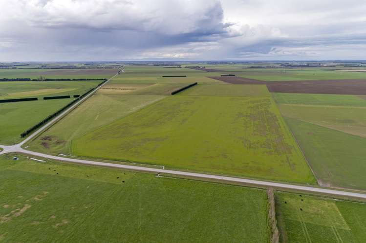 Taverners Road Chertsey_6