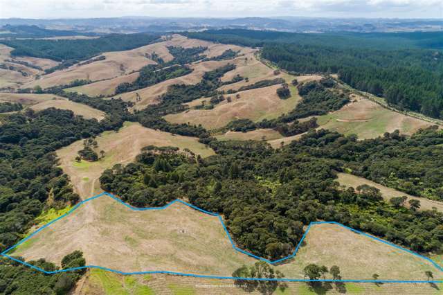 240 Zanders Road Helensville_2