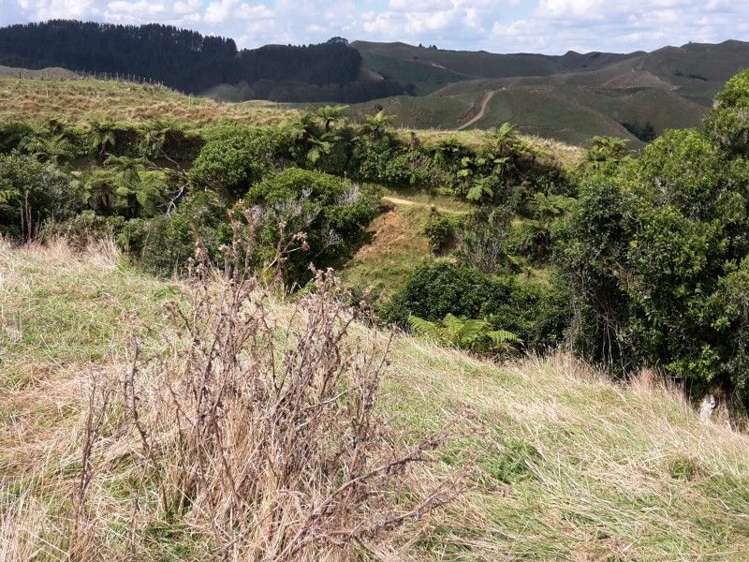 446 Stanley Road Te Popo_40