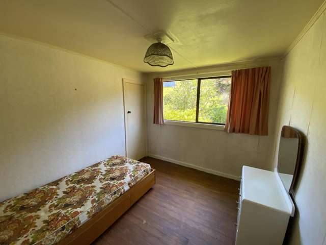 2083 Dry Road, Mangarakau Collingwood_4