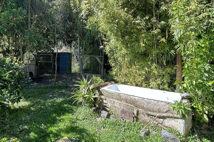 219 Parapara Valley Road Collingwood_11