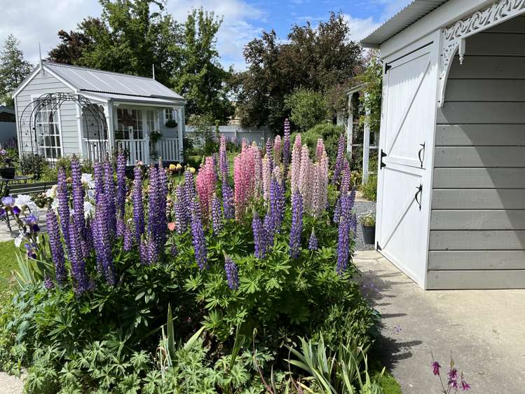 231 Union Street Milton_35