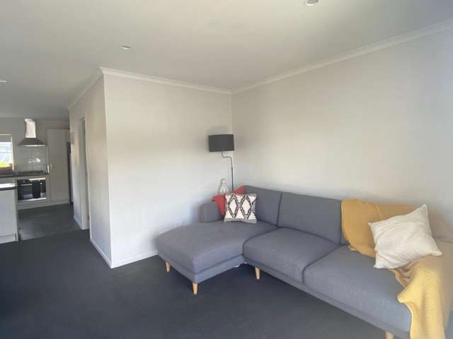 3/75 Cameron Road Hamilton East_3