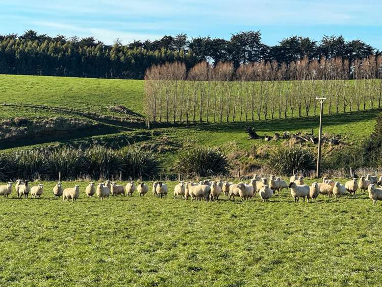 164 Waddle Road Mataura_7